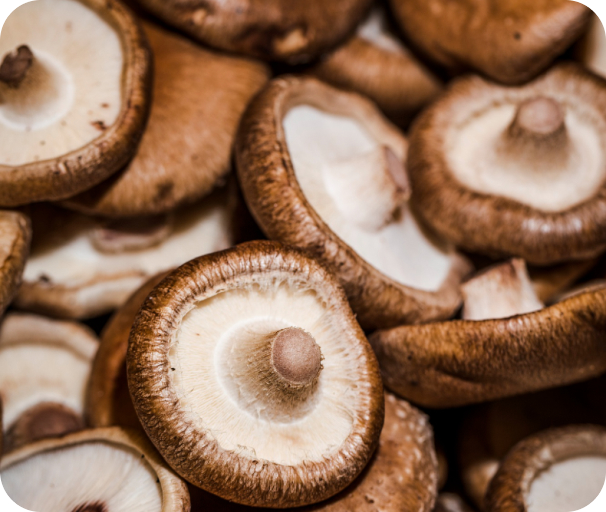 mushrooms